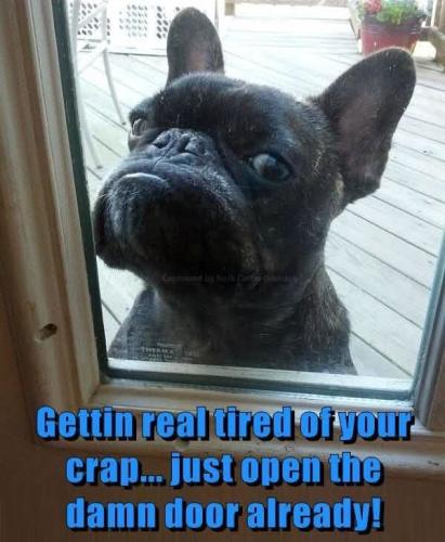 FB_IMG_1750803715646