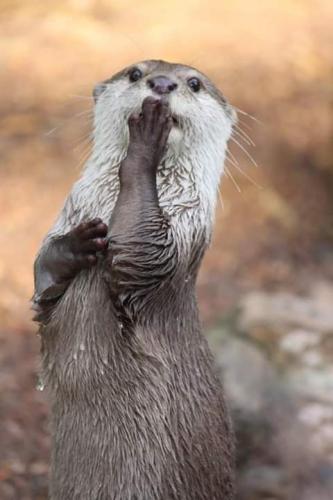 FB_IMG_1558910491707