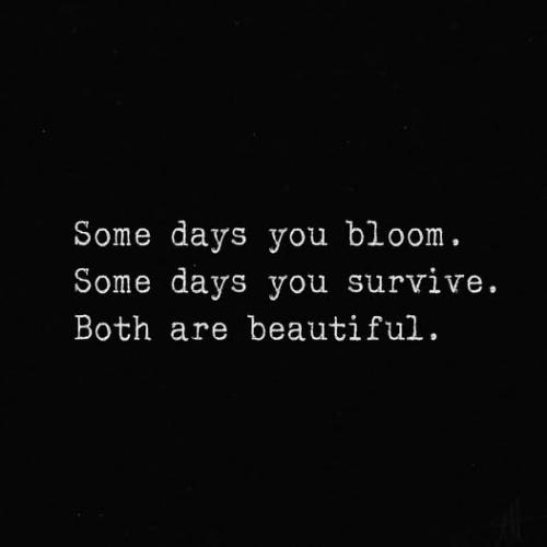 508133096_24224933340437300_6784700784203560499_n