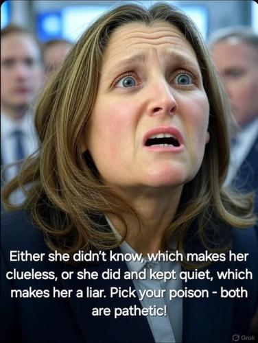 liar liar pants on fire