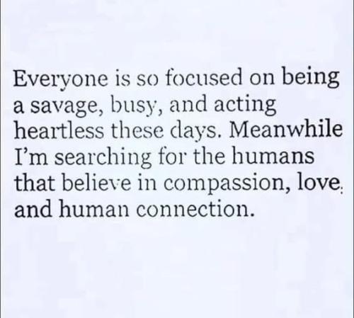 513483789_733704742879054_2332929554167623093_n