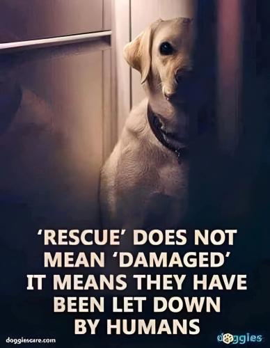 FB_IMG_1750764638334