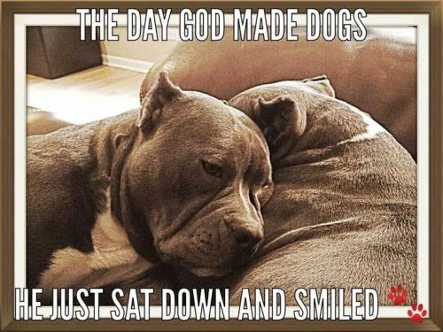 bdf3e799f035d3ad13b7739e27d06b61