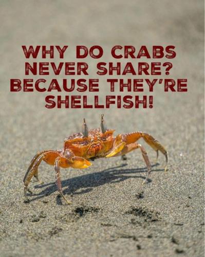 FB_IMG_1750446233427