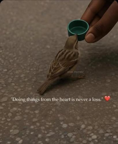 513301936_1887118685475629_1456879258152797618_n