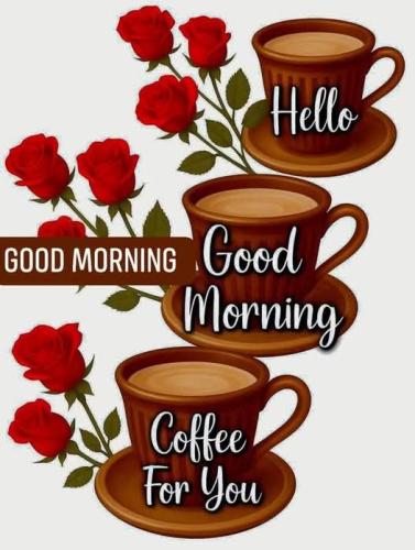 FB_IMG_1749139622595