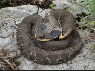 Screenshot_20250608_135503_Google