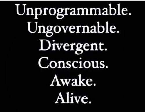 766f6ef4284edd8bcf7ab2dda91e45e8