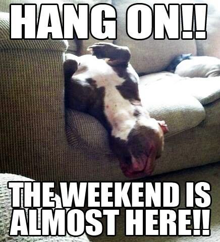 0a8c430923ad557946cf19e0da8c07ab