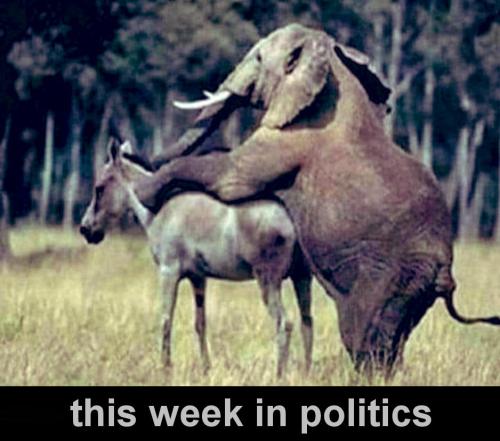 this week in politics
