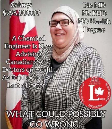 what could possibly go wrong