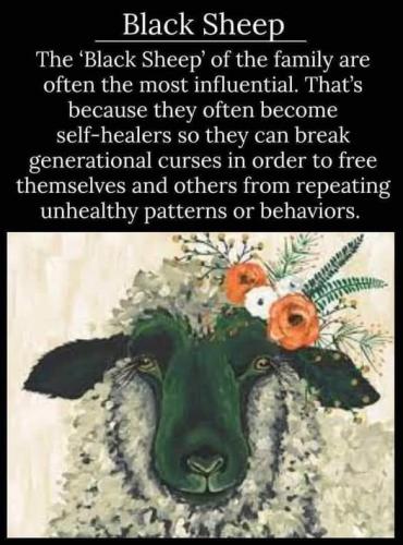 506851271_723194613930067_5839500173836760102_n