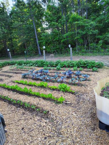 IMG_20250605_072924377_HDR