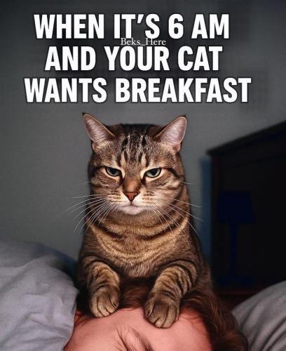 f7c05f81fdfe157095689b5b11fb244b