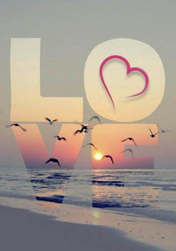 c3b8c519e08ad5f6950614d0c13e9888_1024