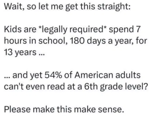 image_2025-06-02_061240953