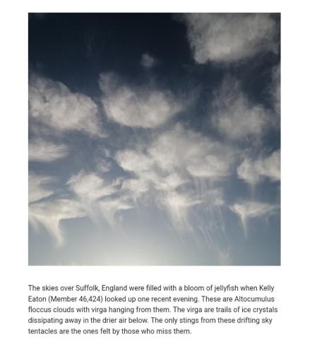 c804b6f8-7d87-44d5-8298-0ae48d599f7b