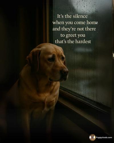 FB_IMG_1750803666530