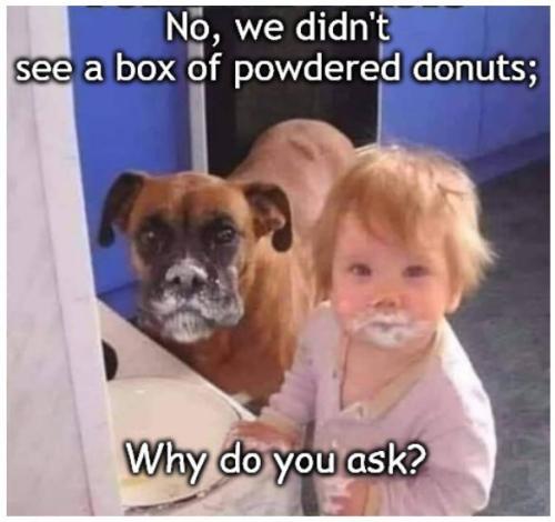 32be6291438adc08a20c109b6759082e