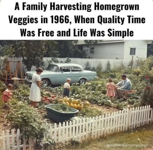 505110701_24111267288490857_5381950472819347854_n