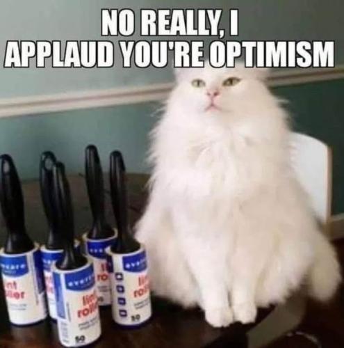 8d6d5d87888648afbdb266118597cca7