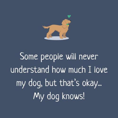 b813900d2ccd320c6d520439d9661626