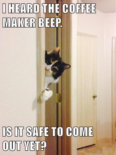 its-dangerous-to-face-monday-alone