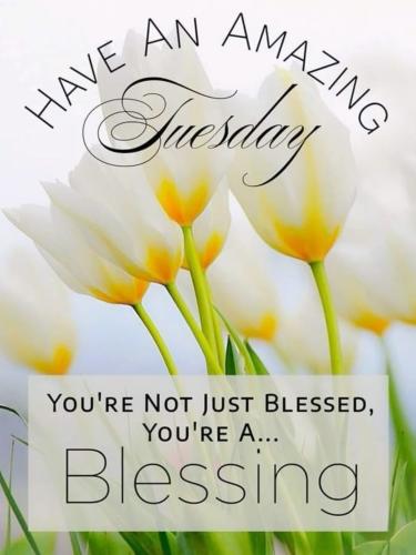 505855099_731313416069674_6671833162264928487_n