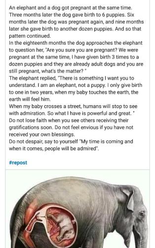 ba96aa94-4d9f-4fa7-adb2-3c29f1b56699