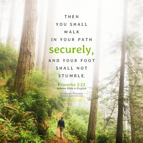 pro-3-23-GMH-unsplash