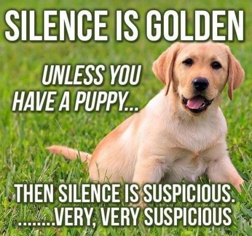 b237b3887bc6ee82388091416d2aba6f