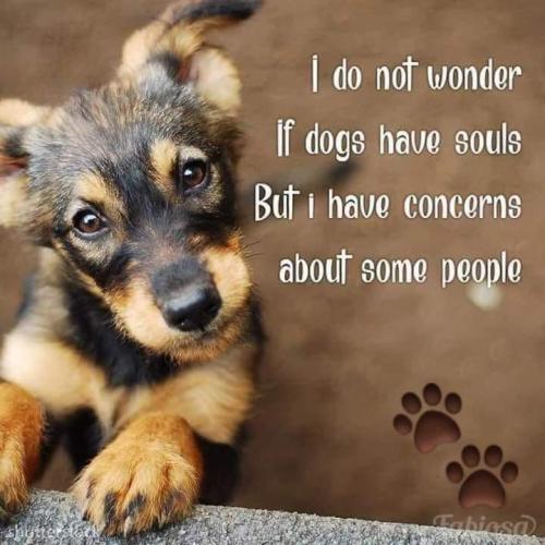 db4768fa5289c908e0ad2b9c05ad9d5a