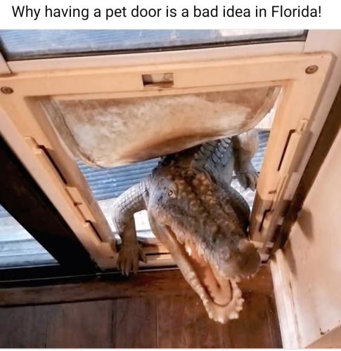 Screenshot_20250610_111239_Facebook_resized