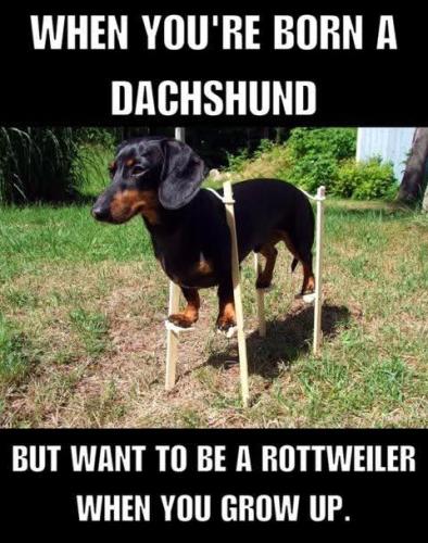 FB_IMG_1750188221013