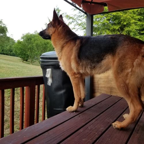 Resized_20200706_195933