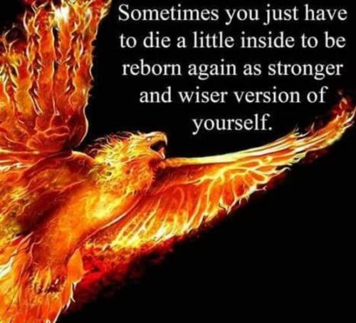 488752317_674639455250858_4102800275550296532_n