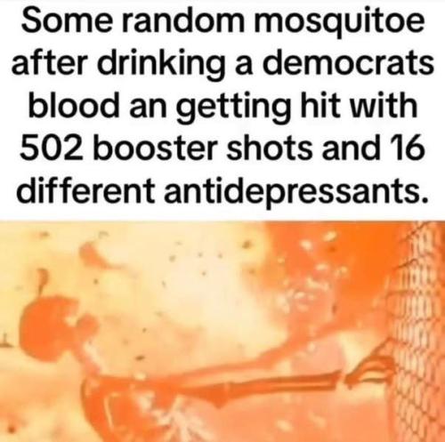 IMG_20250603_202442_405