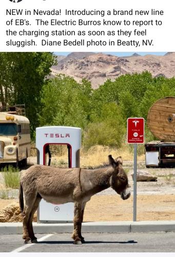 Screenshot_20250616_074437_Facebook_resized