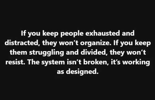 image_2025-06-06_060203906