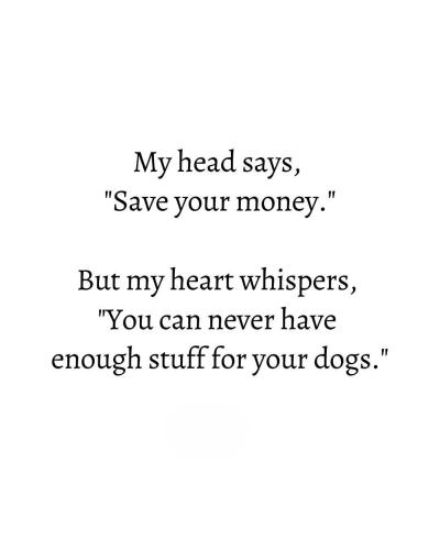 FB_IMG_1749757190049