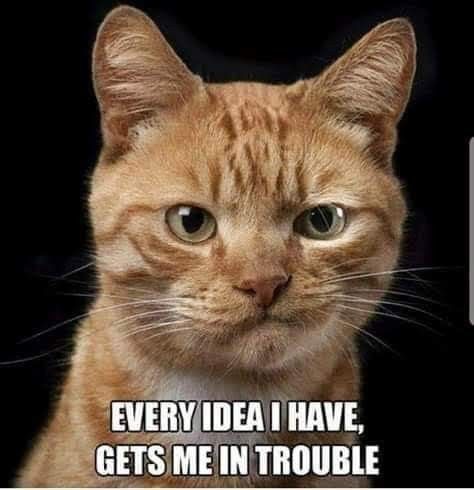 d66df72103291803031e4e80f571bacc