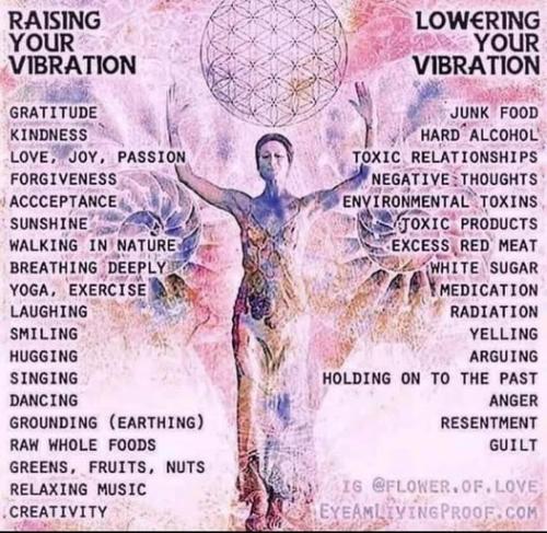 489021268_10229603398495555_1898792299648683602_n