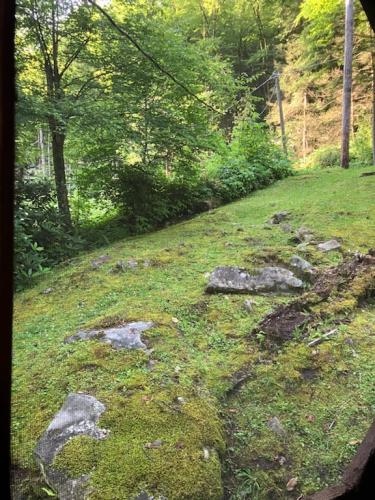 895AA4A9-DB1D-481E-9AC3-C4E59C77C50F