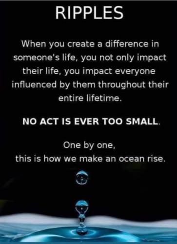 514037544_749158920970369_1635797268891783198_n