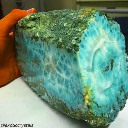 ,   417721513_10231757576