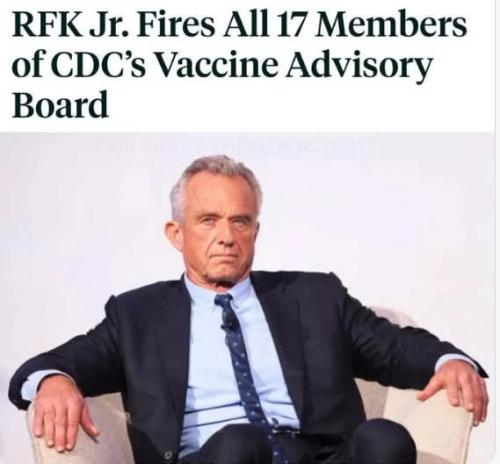 FB_IMG_1749591583917