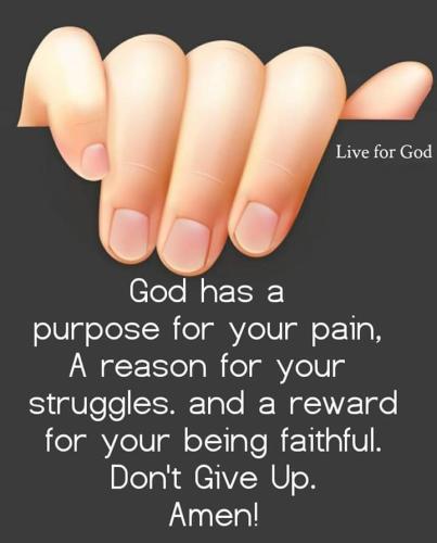 FB_IMG_1558859290680