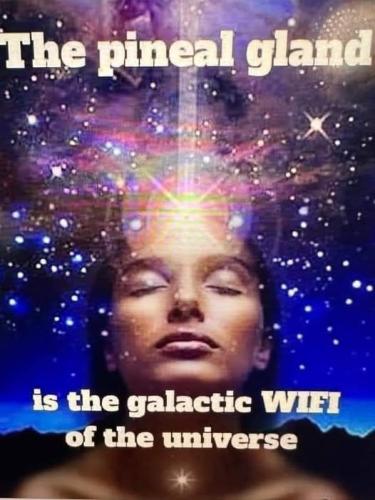 489441994_122255140850244656_2889166403946923374_n