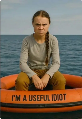 image_2025-06-16_062148606