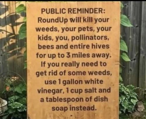 Screenshot_20250531_131959_Nextdoor